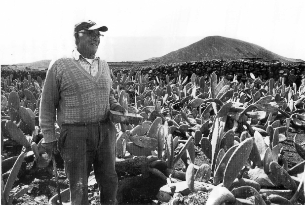 José  Domingo  Fernández  Torres