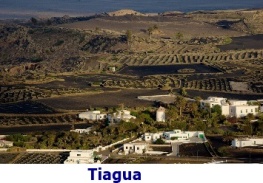 tiagua