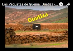 guatiza