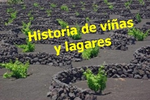 historia-de-las-vinas-y-lagares