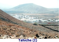 tahiche-18