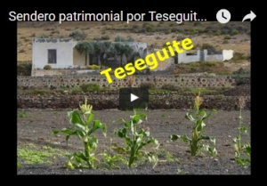 teseguite