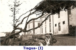 tiagua-7